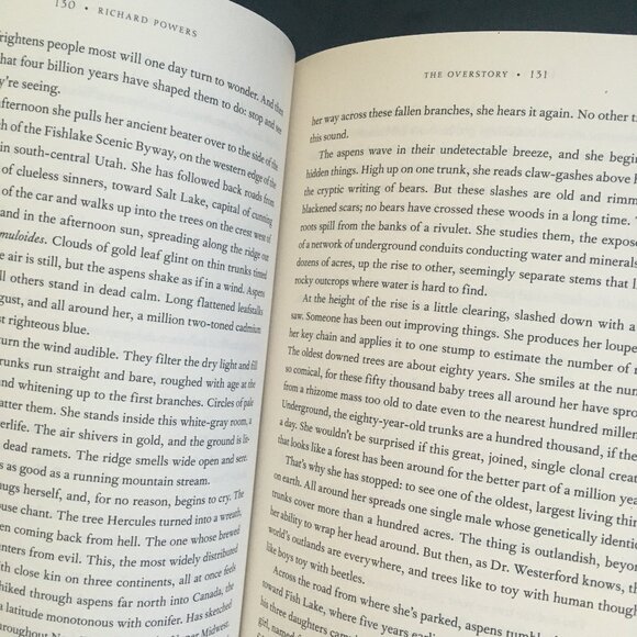 The Overstory, a novel by Richard Powers (softcover book) - Picture 2 of 3